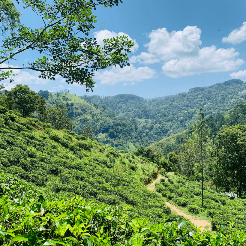 Land for sale in Sri Lanka