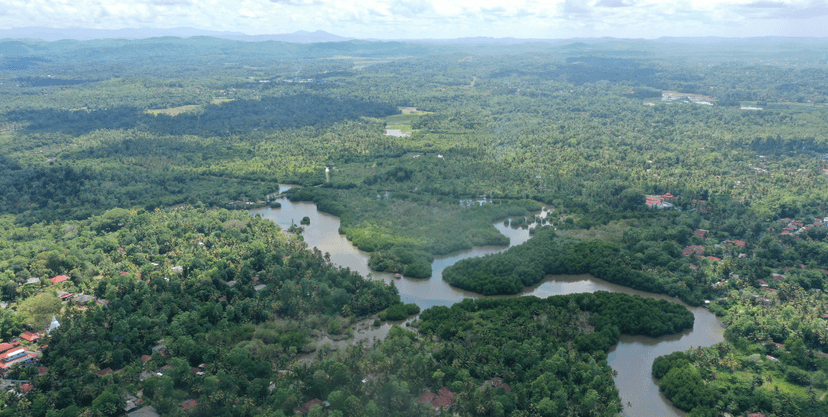 Midigama Island Eco-Tourism Project image 3