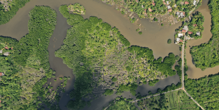 Midigama Island Eco-Tourism Project image 2